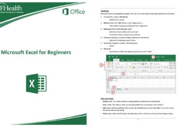 Microsoft Excel for Beginners
