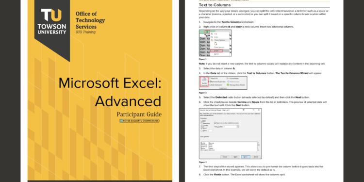 Microsoft Excel Advanced- Participant Guide
