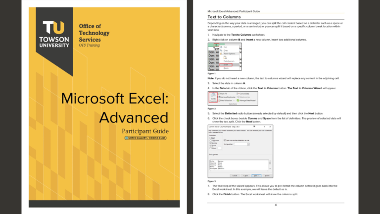 Microsoft Excel Advanced – Participant Guide PDF